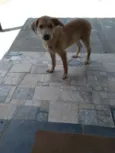 Marley e princesa