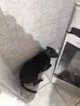 Bruce
