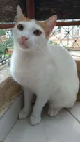 Zoé
