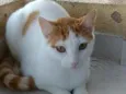 Zoé