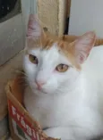 Zoé