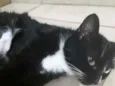 Esmeralda 