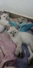 Cristina, teo, monch
