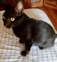 Bia e Nino