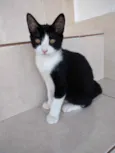 Gigi Linda bebê