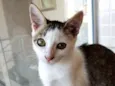 Akemi linda bebê