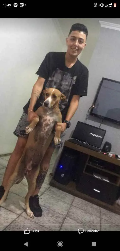 Cachorro ra a Indefinida idade 5 anos nome Madona