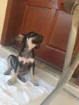 Não possui nome aind