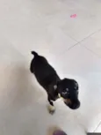 Não possui nome aind
