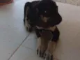 Não possui nome aind