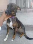 Pepa