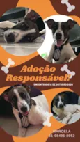 Não sei