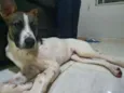 Não sei