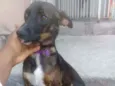 Pepa