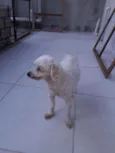 Skai Skai