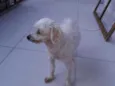 Skai Skai