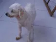 Skai Skai