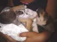 Benji