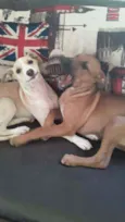 Kiara e Slink