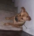 Théo 