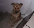 Théo 