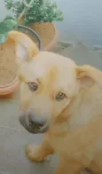 Théo 