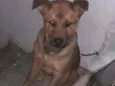 Théo 