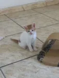 Kiko