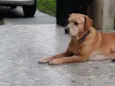 Marley