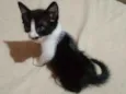 Rubi/lua e lulu