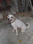 Mel