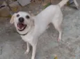 Mel