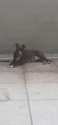 NENÊ