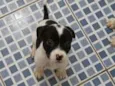NENÊ