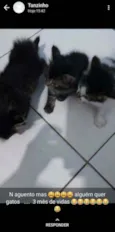 Não tem nome