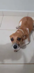 Mel