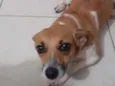 Mel