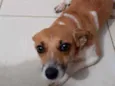 Mel