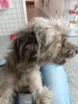 Isabel