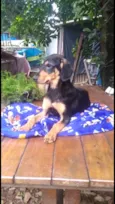 Luppy
