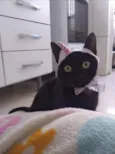SABRINA