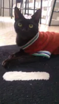SABRINA