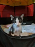 Jack