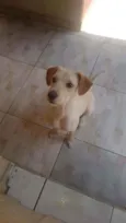 Ralf
