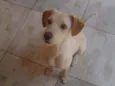 Ralf