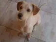 Ralf