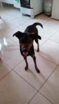Lua
