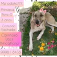 Princesa