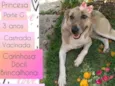 Princesa
