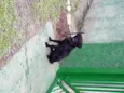 não sei